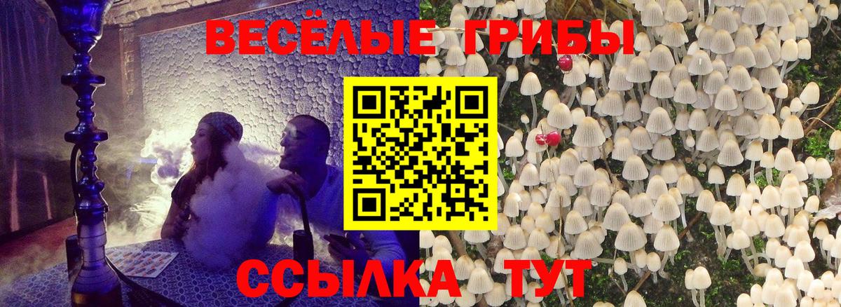 сколько стоит  Вход с VPN  Муравленко  Галлюциногенные грибы мицелий 